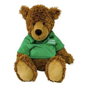 Cedar Fair 2007 Kings Island Amusement Park Bear Plush Toy Logo Green Shirt 13”